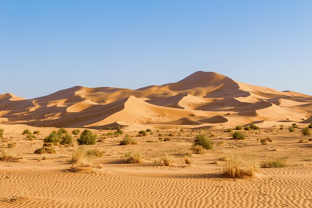 Länder mit W: Westsahara