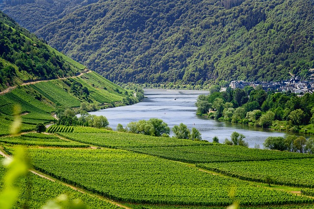 Fluss mit M: Mosel